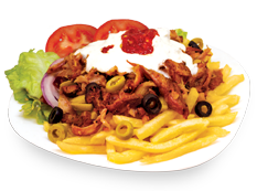 KEBAB with french fries