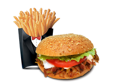 Mr. Kebabik with french fries